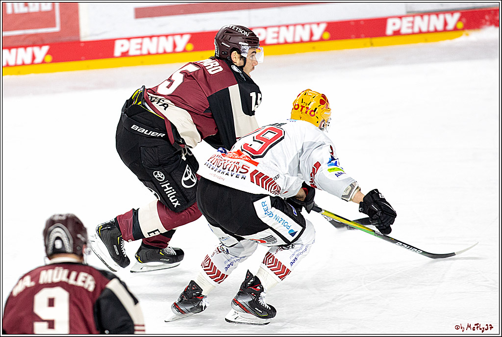PENNY DEL;  Koelner Haie - Fischtown Pinguins Bremerhaven; Koeln, 12.02.2021
